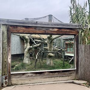 Outdoor Exhibit for Clouded Leopard