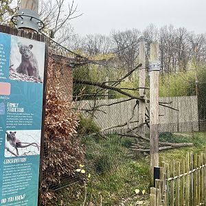 Fossa Exhibit