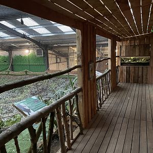 Livingstone’s Fruit Bat Viewing Area