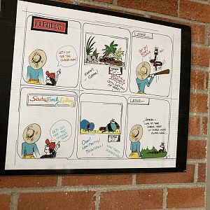 Reasoning for the Scute's Family Gallery