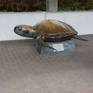 Loggerhead Turtle statue