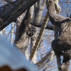 Javan Gibbons at the Greensboro Science Center