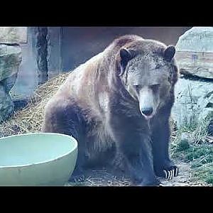 Akron Zoo - YouTube