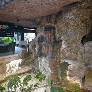 Tropical House Waterfall