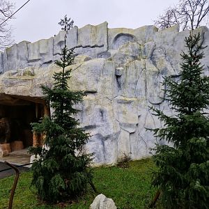 Brown Bear Mock rock Cave