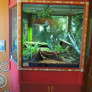 Children's python terrarium, 2022-06-15