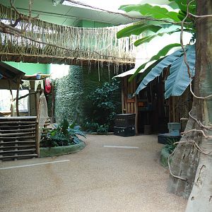 Visitor area in the Bonobo house, 2022-06-15