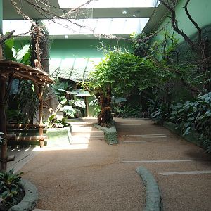 Visitor area in the Bonobo house, 2022-06-15