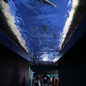 Ramp to the upper floor