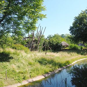 Bonobo island, 2022-06-15