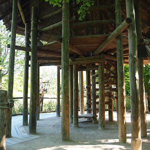 Bonobo viewing area with climbing play tower for children, 2022-06-15