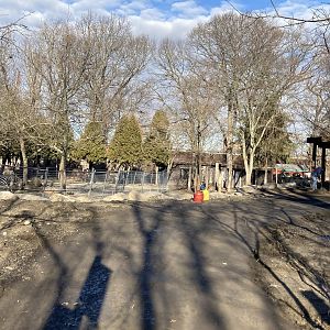 Construction Making Zebra Exhibit Smaller?