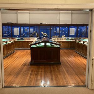 Circle of the Sea: Revisited and Reimagined