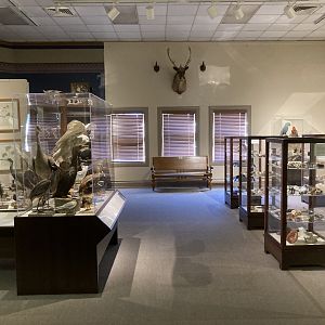 Natural Selections: Museum’s Victorian Past to the Present