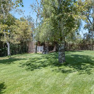African Woods: Gerenuk and Abyssinian Ground Hornbill exhibit