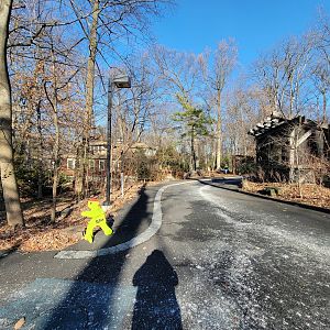 Briar Bush NC - Center on left, butterflies on right