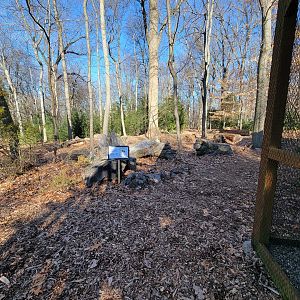 Briar Bush NC - Start of storybook trail