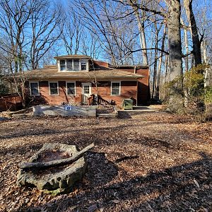 Briar Bush NC - Where the tortoises live in the summer