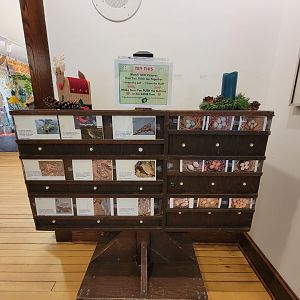 Briar Bush NC - Match birds to eggs