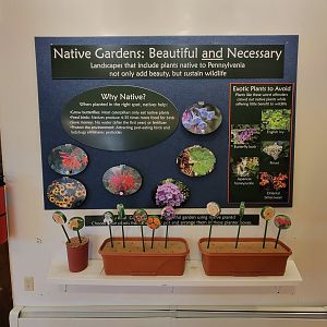 Briar Bush NC - Native Gardens