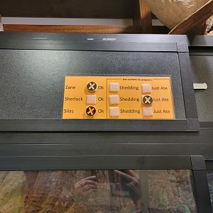 Briar Bush NC - A great, easy way to manage ambassador snakes!