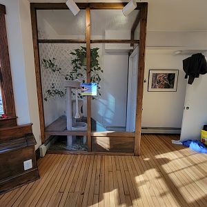 Briar Bush NC - Virginia opossum