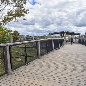 Boardwalk through Africa