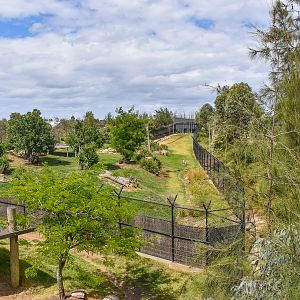 African Hunting Dog Enclosure