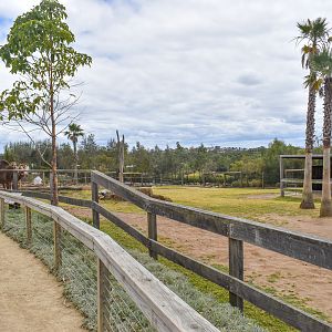 Dromedary Enclosure