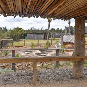 Construction occuring near Dromedaries