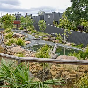 Otter Enclosure (Red Panda enclosure next to it)