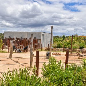 Asian Elephant Enclosure