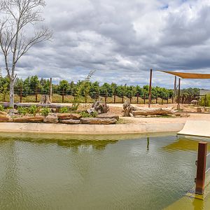 Asian Elephant Enclosure