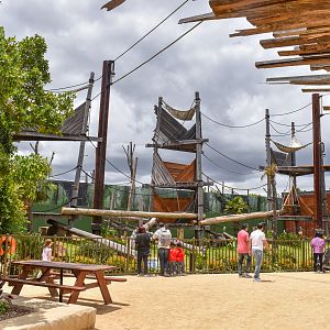 Sumatran Orangutan Enclosure
