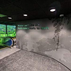 Upland Tropical Rainforest