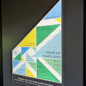 Upland Tropical Rainforest