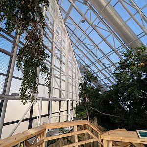 Upland Tropical Rainforest