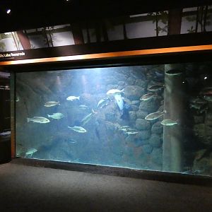 Falls Lake Reservoir