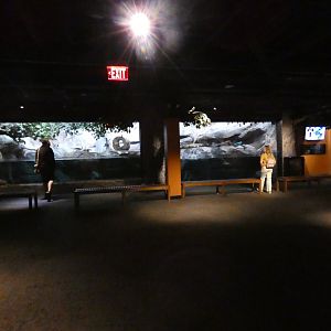 North American River Otter exhibit general view