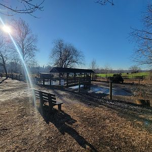 Linvilla Orchards PA - Domestic duck and goose pond