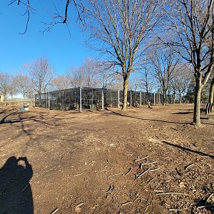 Linvilla Orchards PA - So many chickens