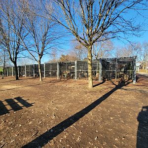 Linvilla Orchards PA - So, so many chickens