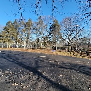 Linvilla Orchards PA - Whitetail deer pen