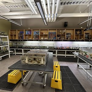 Wet Lab (very limited opening times)