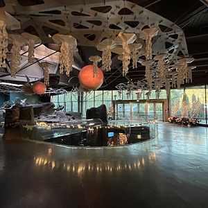 Strait of Georgia Tank (upper view)