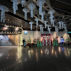 Christmas Decorations