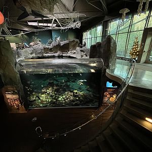 Strait of Georgia Tank (lower view)