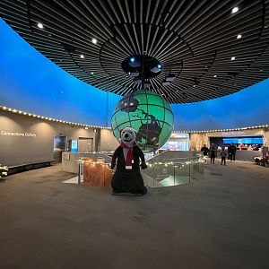 Entrance Gallery - Green Earth