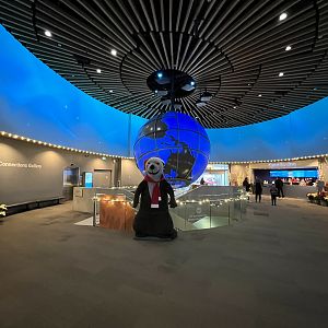 Entrance Gallery - Blue Earth