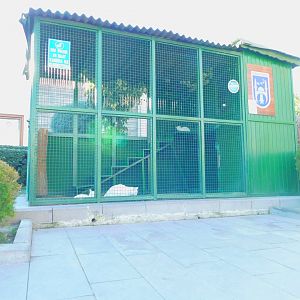 Domestic Cat Cage at the Ankara Domestic Animal Park